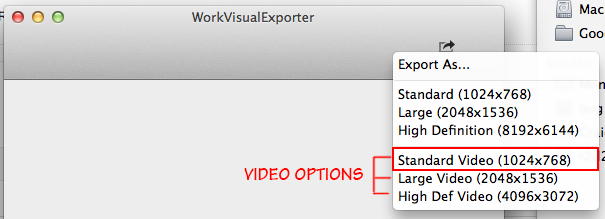 Video options in the Exporter